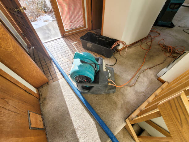 Reliable Kearns, UT Water damage restoration Solutions