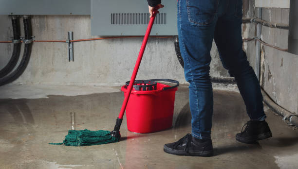 Best Fire Damage Restoration  in Kearns, UT