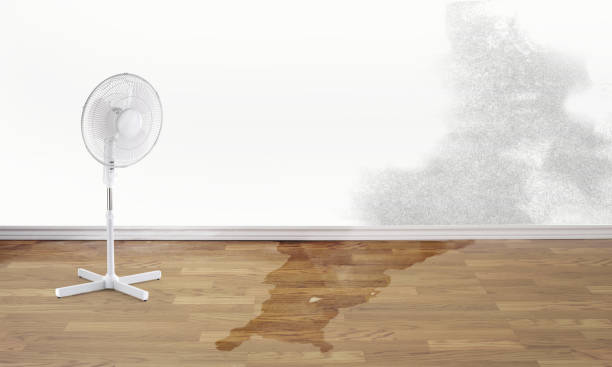 Best Flood restoration services  in Kearns, UT