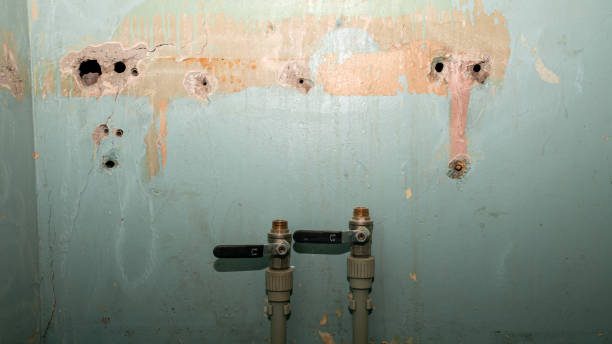 Best Flooded house restoration  in Kearns, UT