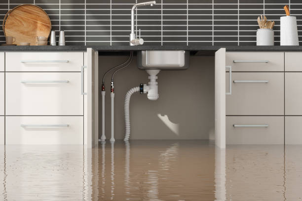 Best Water damage mitigation services  in Kearns, UT