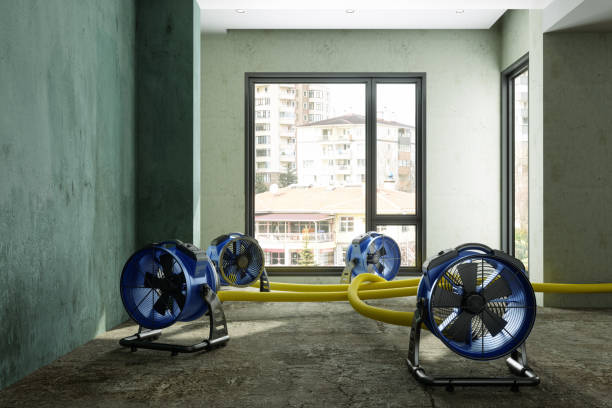 Best Water damage cleanup near me  in Kearns, UT