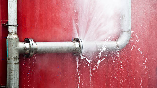 Best Flood damage cleanup  in Kearns, UT