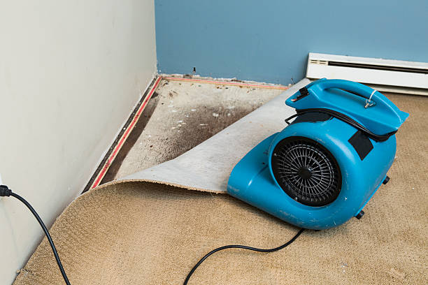 Best Sewage cleanup and water damage restoration  in Kearns, UT